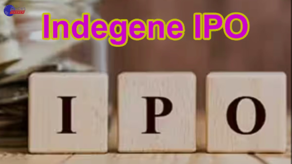 Indegene IPO