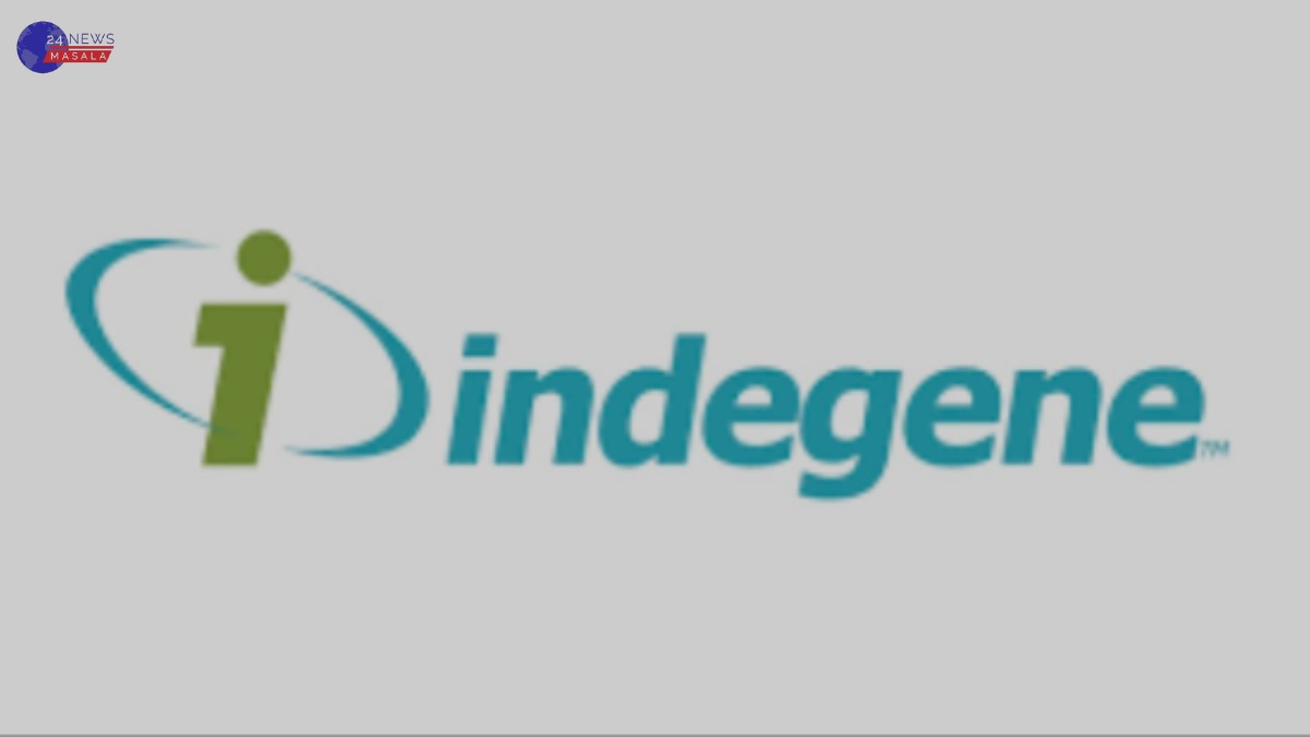 Indegene IPO