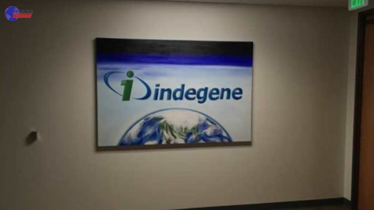 Indegene IPO