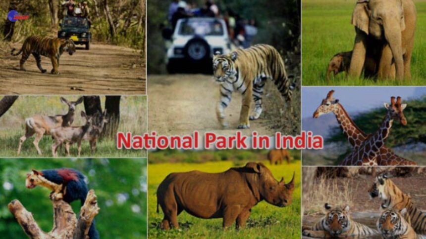 Best National Park