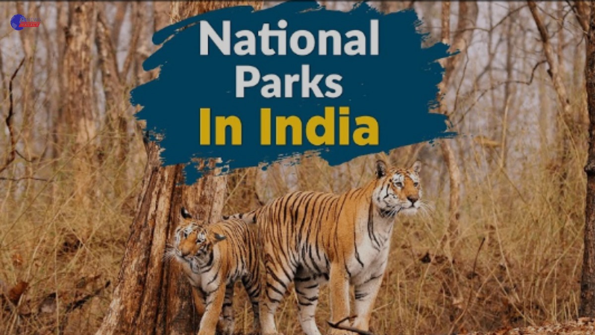 Best National Park